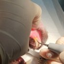 힐링동물병원 &  건강검진센터 이미지