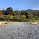 대야산 오토 캠핑장 이미지