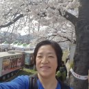 얼쑤농장 이미지