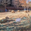 늘솔길근린공원(4호) 공원화장실 이미지