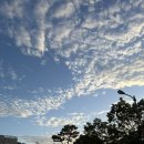 진리관 화장실 이미지