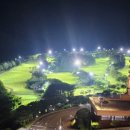 소노펠리체 델피노 이미지