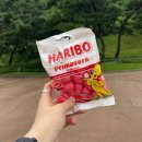 Thanks to you | 다음콘을 기다리며.. 라이즈 앵콜 팬콘 RIIZING DAY (첫콘 9/13 단독 콘서트 후기) thanks to 토롯코