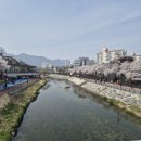 호계공원 배드민턴장 공중화장실 | 벚꽃 스팟 서울 우이천 벚꽃길-주차,위치산책코스 총정리