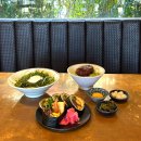 예스예스애견 | 경주 황리단길 맛집 경주일식 예스키즈 애견동반 료미