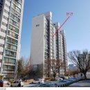 용인대석사 드림태권도장 이미지