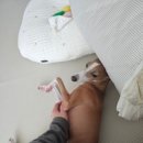 원할머니보쌈족발경산하양점 이미지