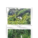 교리2길 이미지