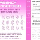 에이전시커넥션 - 강남구 언주로164길 29 | 에이전시커넥션