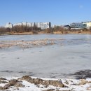 배다리공원 이미지