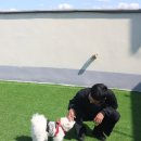 대견하개 이미지