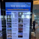 아름다운리조트 | 통영 오션뷰 숙소 스탠포드호텔앤리조트 아름다운 바다전망 내돈내산 찐 후기