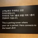 아차산하이약국 | [서울 광진] 👶아기랑 같이 방문한 그랜드 워커힐 서울 아차산뷰 솔직 후기