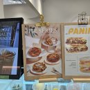 스테이그린 이미지