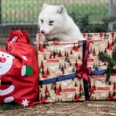 미소지은농장 이미지