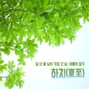 낮이,