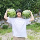 석진 농장 이미지