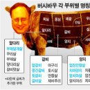 버쉬 이미지