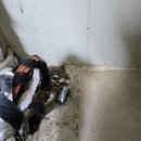 금성면사무소 화장실 이미지