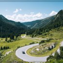 진엔진바이오 이미지