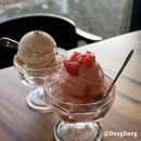 낭만스케치 | 평창 카페 <카페 메밀스케치> 봉평 이효석길: 꼭 들려야할 인생 카페