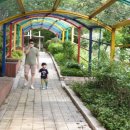 황령산레포츠공원(생태공원) | 황령산 생태놀이공원, 부산 아이와 숲체험 가기 좋아요! (주차장)