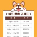 닥터장 동물의료센터 이미지