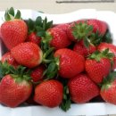 김미순농장 이미지