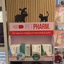 가까운 중앙 약국 이미지