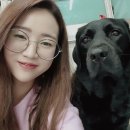 다양하개 | 의정부애견카페 다양하개 솔직후기