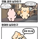 비타민마트 네이버블로그
