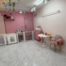 루틴펫살롱 이미지