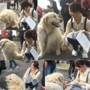 지은라이프 이미지