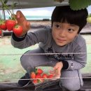 태경농장 이미지