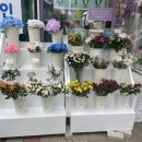 스노우폭스플라워쌍문점