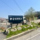 금성보건지소 이미지