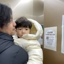 더그린스토리 이미지