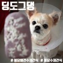 매봉로 | 봉담2지구 강아지 간식 맛집 딩도그댕 내돈내산 방문 후기
