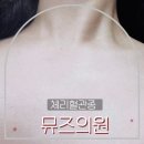 뮤즈힐여성의원 | [안양 피부과] 내돈내산 체리혈관종 레이저 제거 솔직 후기 (ft. 범계 뮤즈의원 여자원장님)