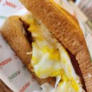 토스테리아 이미지