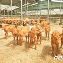 황고개농장 이미지