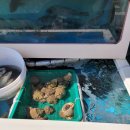 연포회식당 이미지