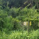 그랜드장모텔 이미지