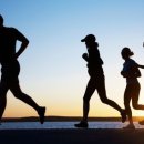 당당한 삶 이미지