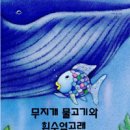 무지개물고기 이미지