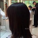 분당-수내-305 이미지