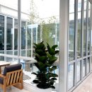 미들 도어 이미지