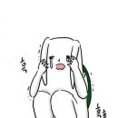 정성면가 이미지