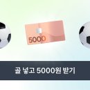 축구공 같이합세 이미지