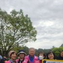 2026년 정화활동으로 의림지 길을 쓸다 이미지